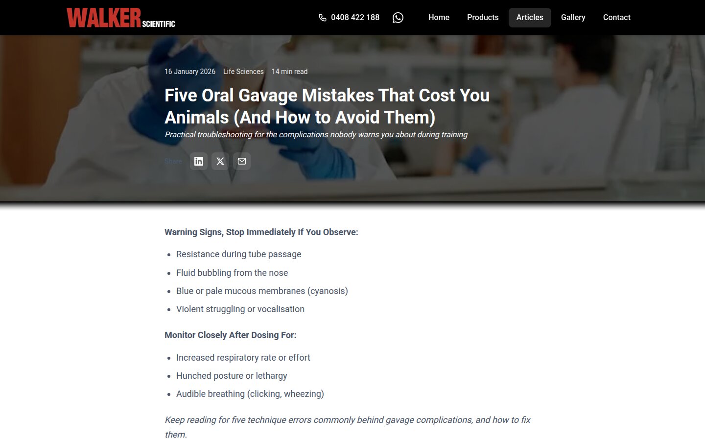 Five Oral Gavage Mistakes article - the page that hit position 5.5 on Google worldwide