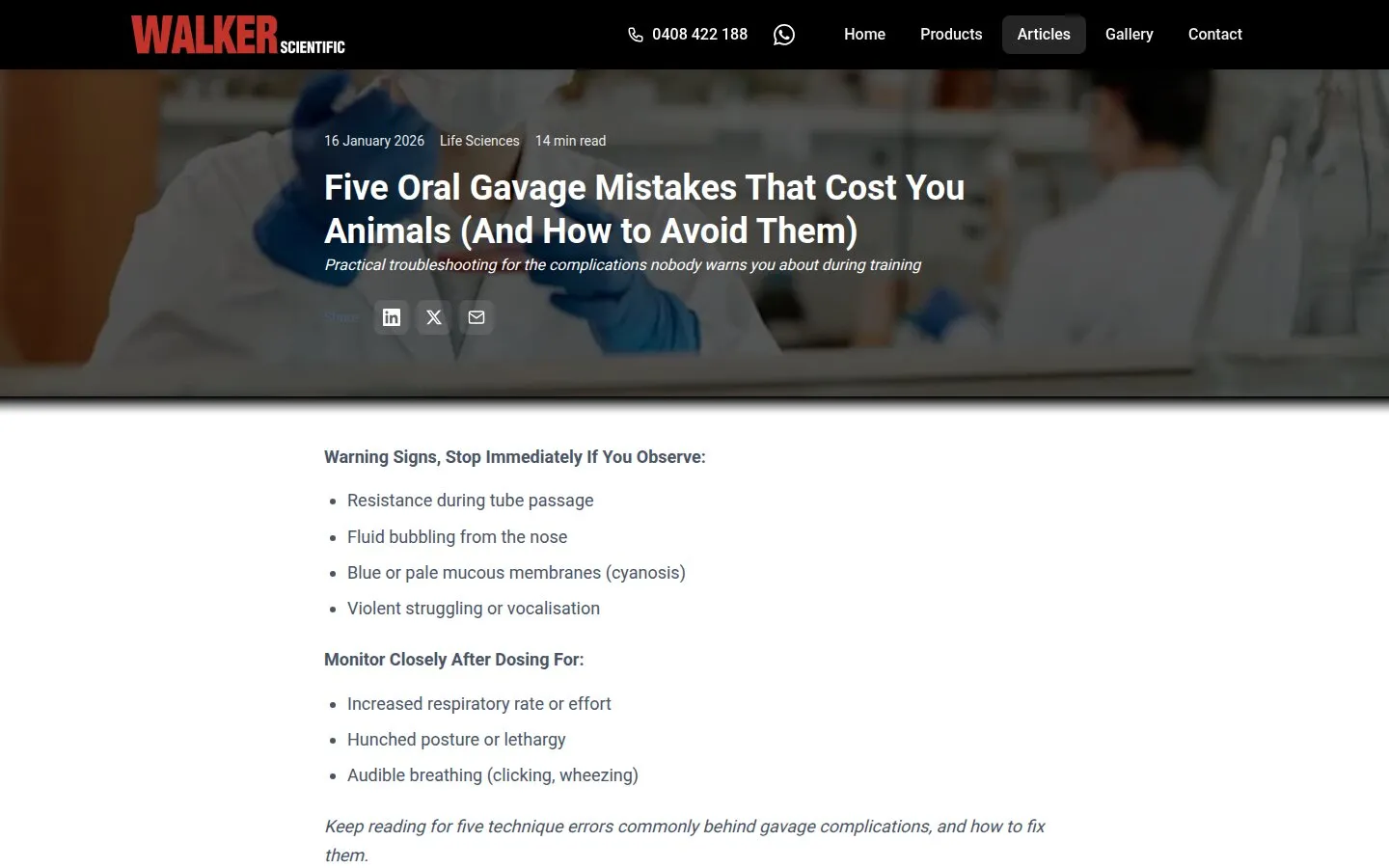 Five Oral Gavage Mistakes article - the page that hit position 5.5 on Google worldwide